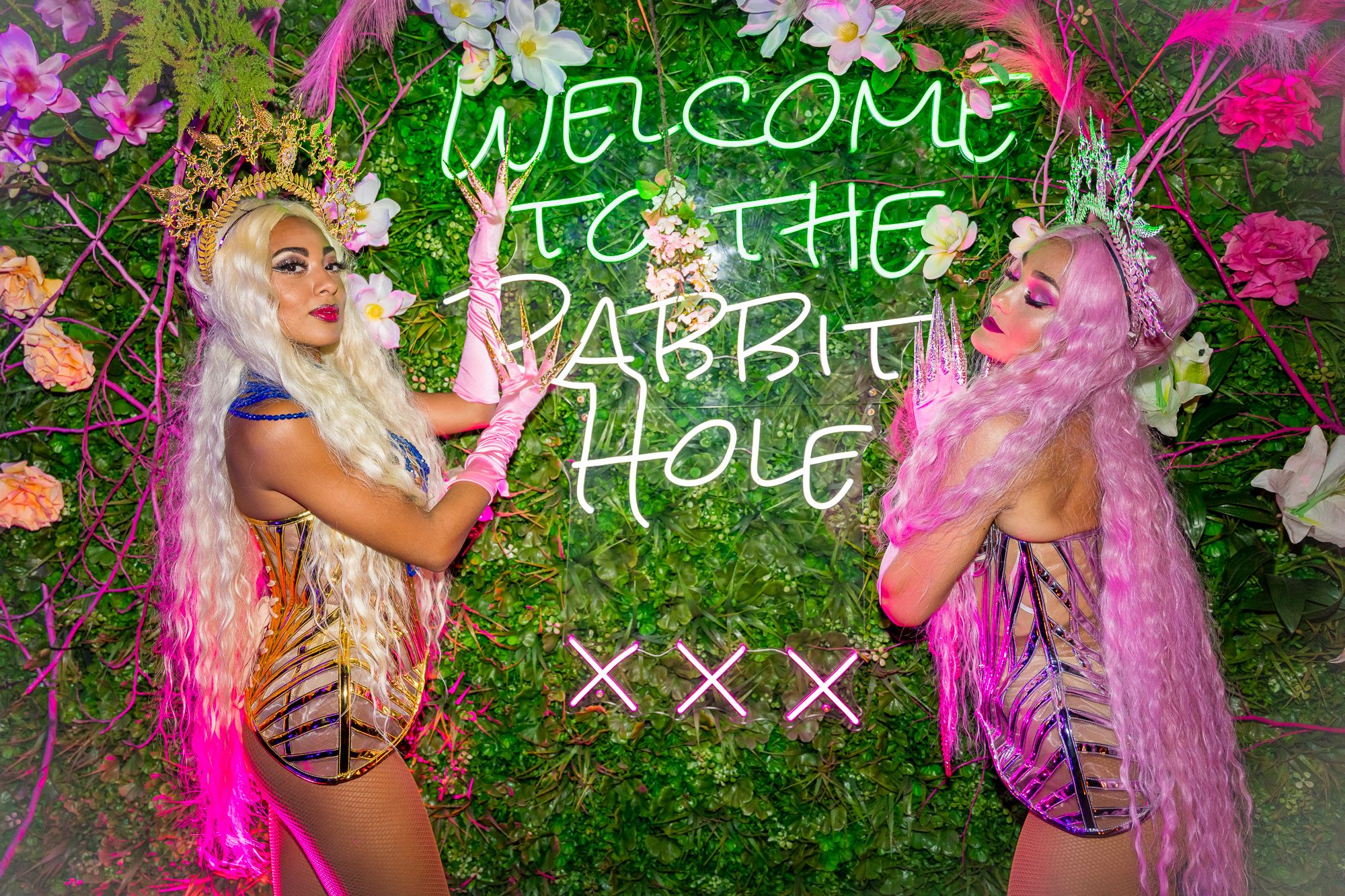 Welcome to the Rabbit Hole